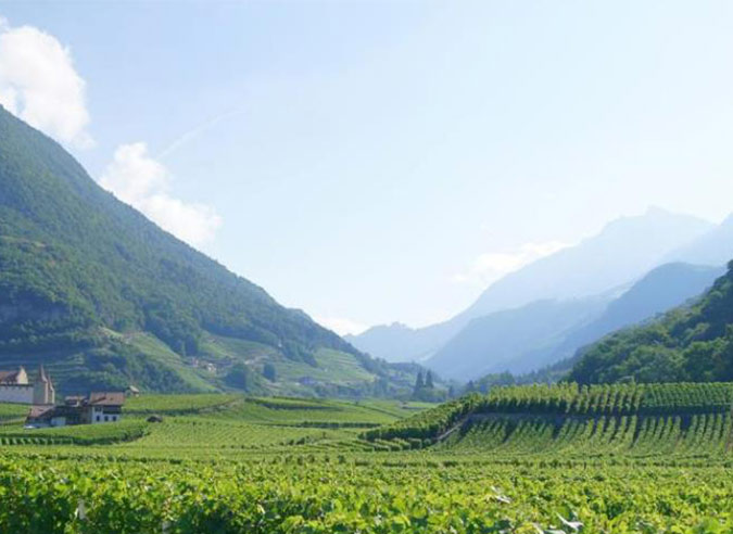 nouveau-toit-pelerins-via-francigena