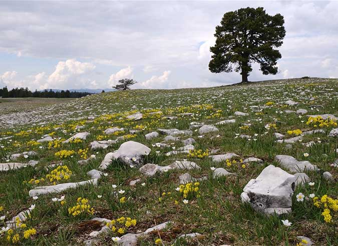 bivouac-dans-vercors